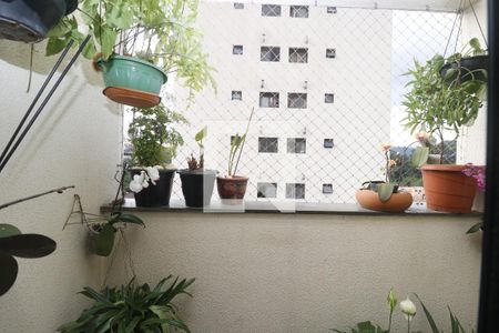 Varanda da Sala de apartamento à venda com 3 quartos, 87m² em Mandaqui, São Paulo