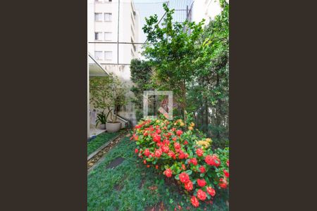 Casa de condomínio à venda com 260m², 4 quartos e 4 vagasJardim