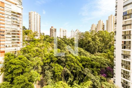 Vista de apartamento para alugar com 2 quartos, 80m² em Jardim Fonte do Morumbi, São Paulo