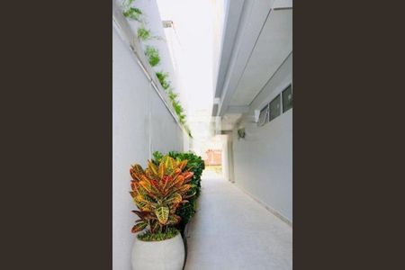 Casa à venda com 2 quartos, 103m² em Cambuci, São Paulo