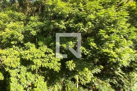 Casa de condomínio à venda com 600m², 6 quartos e 4 vagasVista para Área Verde