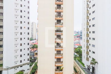 Apartamento à venda com 330m², 4 quartos e 4 vagasVista Sala de TV