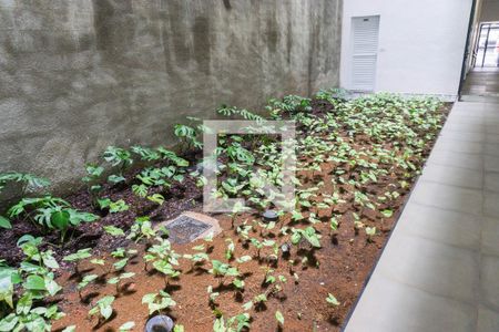 Apartamento à venda com 25m², 1 quarto e sem vagaÁrea comum