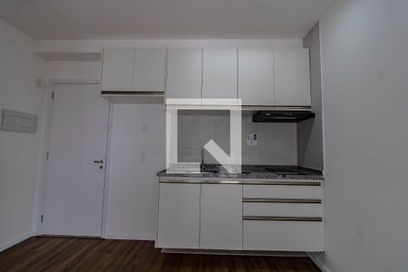 Cozinha  de apartamento para alugar com 1 quarto, 29m² em Vila Santa Catarina, São Paulo