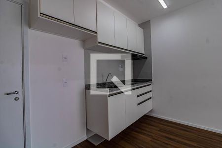 Cozinha  de apartamento para alugar com 1 quarto, 29m² em Vila Santa Catarina, São Paulo