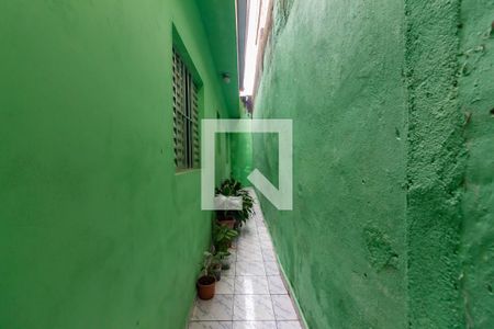 Casa à venda com 130m², 3 quartos e 1 vaga Casa à venda com 130m², 3 quartos e 1 vagaQuintal