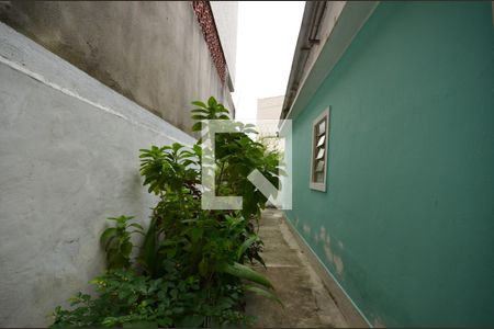 Casa para alugar com 70m², 2 quartos e sem vagaÁrea de Serviço 2