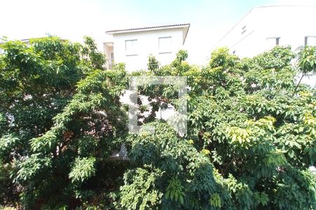 Vista do Quarto 1 de apartamento à venda com 2 quartos, 48m² em Jardim Ipaussurama, Campinas