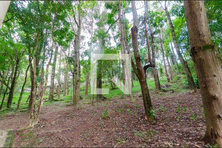 Apartamento à venda com 56m², 2 quartos e 1 vagaBosque