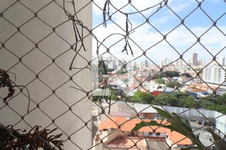 Apartamento para alugar com 65m², 2 quartos e 1 vagaJanela Área de Serviço