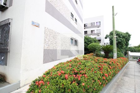 Apartamento à venda com 55m², 2 quartos e 1 vagaÁrea Comum