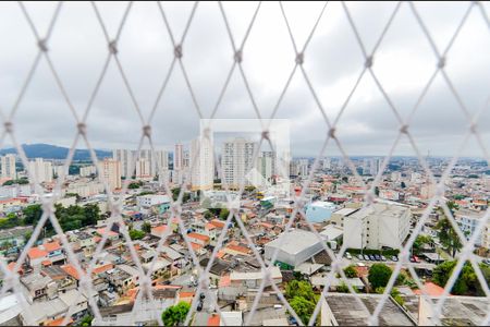 Apartamento à venda com 77m², 3 quartos e 1 vagaVista da Suíte
