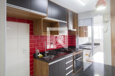 Cozinha de apartamento para alugar com 2 quartos, 48m² em Vila Maracanã, São Paulo