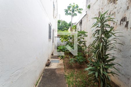 Apartamento para alugar com 100m², 3 quartos e 1 vagaÁrea Verde