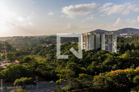 Apartamento à venda com 376m², 3 quartos e 4 vagasVista da Varanda