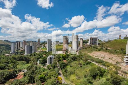 Apartamento para alugar com 3 quartos, 126m² em Vila das Flores, Nova Lima