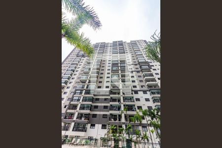 Fachada de apartamento para alugar com 1 quarto, 41m² em Continental, Osasco