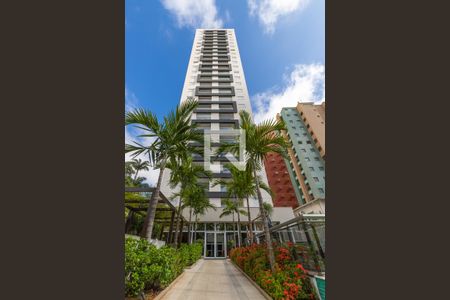 Apartamento para alugar com 50m², 1 quarto e 2 vagas Apartamento para alugar com 50m², 1 quarto e 2 vagasTorre