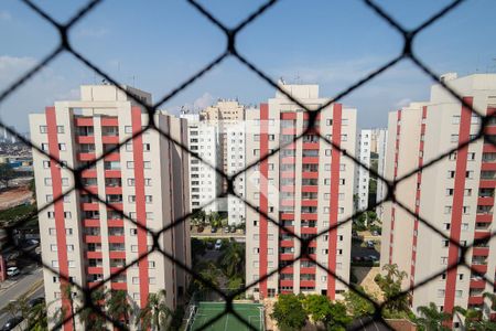 Vista - Sacada de apartamento para alugar com 3 quartos, 78m² em Planalto, São Bernardo do Campo