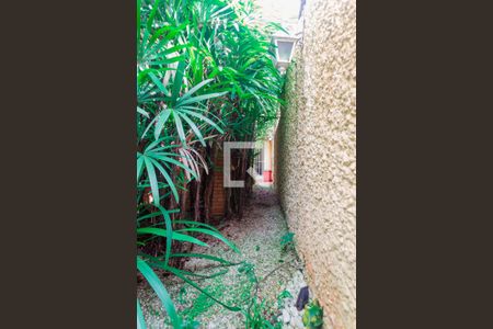 Casa à venda com 340m², 4 quartos e 3 vagasCorredor Lateral