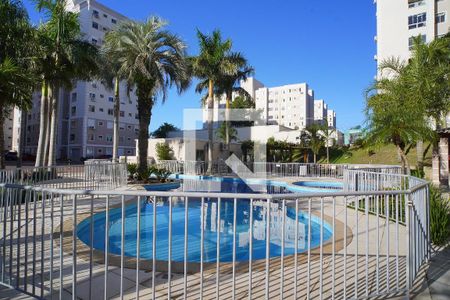Área comum - Piscina de apartamento para alugar com 2 quartos, 43m² em Morro Santana, Porto Alegre