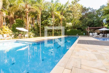 Apartamento para alugar com 43m², 2 quartos e 1 vaga Apartamento para alugar com 43m², 2 quartos e 1 vagaÁrea comum - Piscina