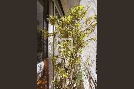 Apartamento à venda com 366m², 4 quartos e 2 vagasVaranda