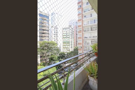 Apartamento à venda com 366m², 4 quartos e 2 vagasVaranda