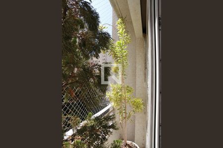 Apartamento à venda com 366m², 4 quartos e 2 vagasVaranda