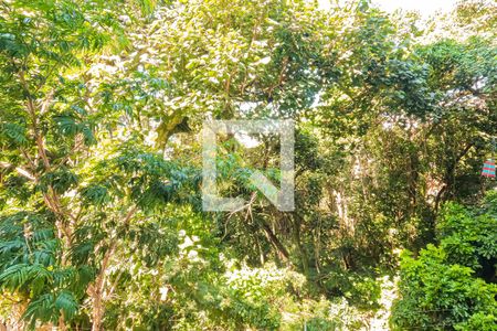 Vista da Sala de apartamento para alugar com 2 quartos, 43m² em Jardim City, Guarulhos