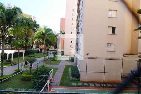Apartamento para alugar com 74m², 3 quartos e 1 vaga Apartamento para alugar com 74m², 3 quartos e 1 vagaVista da Suíte 1