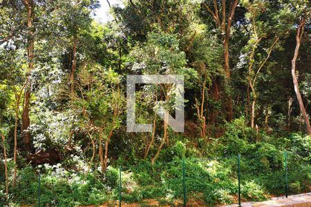 Apartamento para alugar com 2 quartos, 54m² em Jardim Carolina, Jundiaí