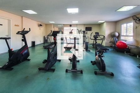 Apartamento para alugar com 60m², 2 quartos e 1 vagaÁrea comum - Academia