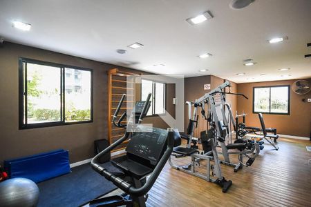 Apartamento à venda com 129m², 4 quartos e 2 vagas Apartamento à venda com 129m², 4 quartos e 2 vagasAcademia