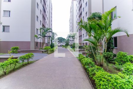 Apartamento à venda com 62m², 3 quartos e 1 vaga Apartamento à venda com 62m², 3 quartos e 1 vagaÁrea comum