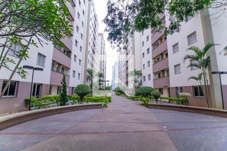 Apartamento à venda com 62m², 3 quartos e 1 vaga Apartamento à venda com 62m², 3 quartos e 1 vagaÁrea comum