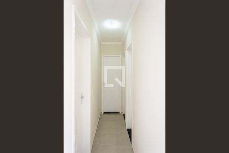 Corredor de apartamento à venda com 2 quartos, 49m² em Vila Carrao, São Paulo