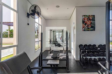 Apartamento para alugar com 50m², 2 quartos e 1 vaga Apartamento para alugar com 50m², 2 quartos e 1 vagaÁrea comum - Academia