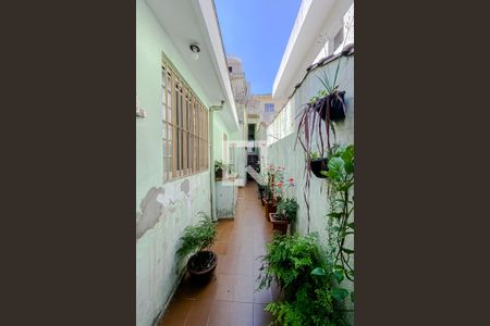 Casa à venda com 150m², 3 quartos e 2 vagas Casa à venda com 150m², 3 quartos e 2 vagasQuintal