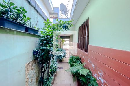 Casa à venda com 150m², 3 quartos e 2 vagas Casa à venda com 150m², 3 quartos e 2 vagasQuintal