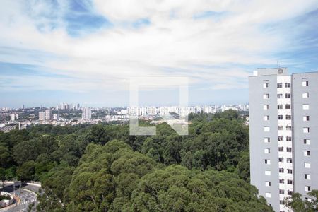 Apartamento para alugar com 50m², 2 quartos e 1 vaga Apartamento para alugar com 50m², 2 quartos e 1 vagaVista Quarto 2