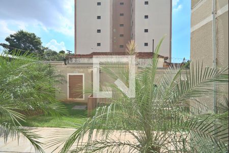 Vista da Sala de apartamento para alugar com 2 quartos, 49m² em Jardim Boa Esperança, Campinas