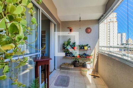 Varanda de apartamento para alugar com 3 quartos, 96m² em Nova Petrópolis, São Bernardo do Campo