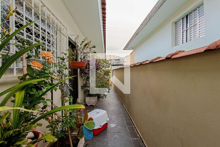 Casa à venda com 215m², 4 quartos e 4 vagas Casa à venda com 215m², 4 quartos e 4 vagasQuintal