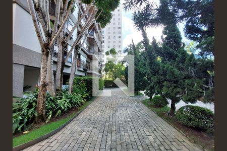 Apartamento para alugar com 147m², 4 quartos e 3 vagas Apartamento para alugar com 147m², 4 quartos e 3 vagasJardim