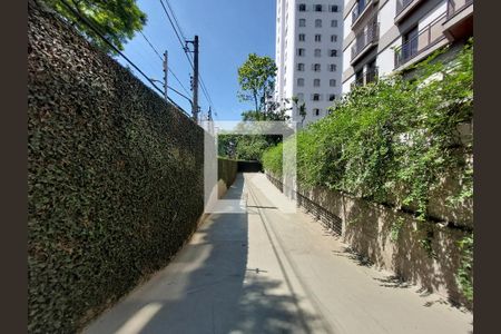 Apartamento para alugar com 147m², 4 quartos e 3 vagas Apartamento para alugar com 147m², 4 quartos e 3 vagasPista de Skate