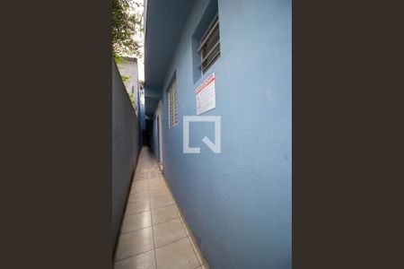 Studio para alugar com 25m², 1 quarto e sem vagaQuintal