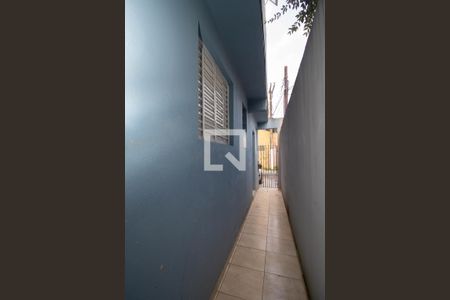 Studio para alugar com 25m², 1 quarto e sem vagaQuintal