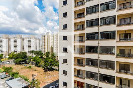 Apartamento para alugar com 74m², 2 quartos e 1 vagaVista do Área de Serviço