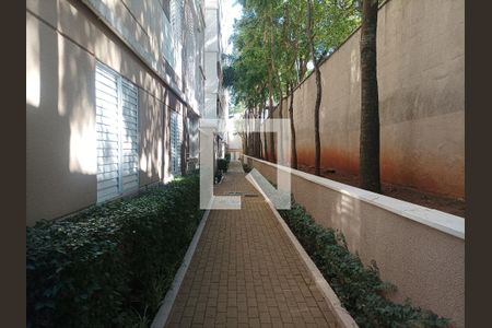 Apartamento à venda com 61m², 3 quartos e 1 vagaarea verde